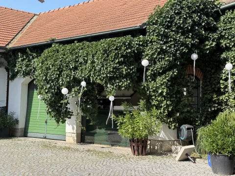 Foto von Philipp_P